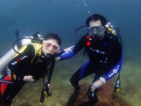 P3192582 (640x480)