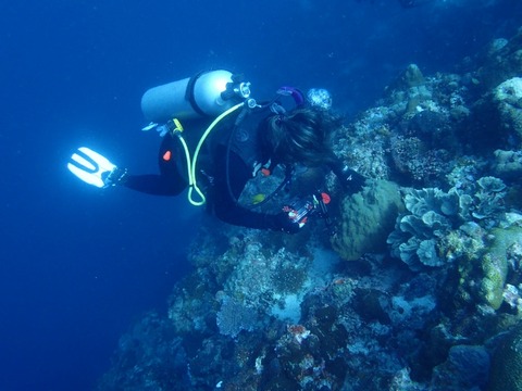 Messenger_creation_271A13F4-41D4-4032-8834-803698A13561