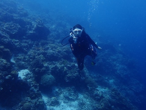 P4220481 (640x480)