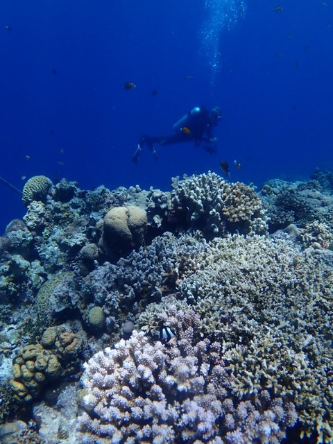 P5200161