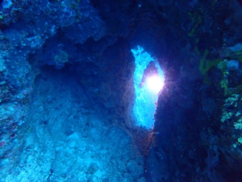 P7010031
