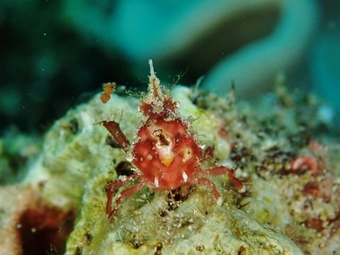 P6117324 (640x480)