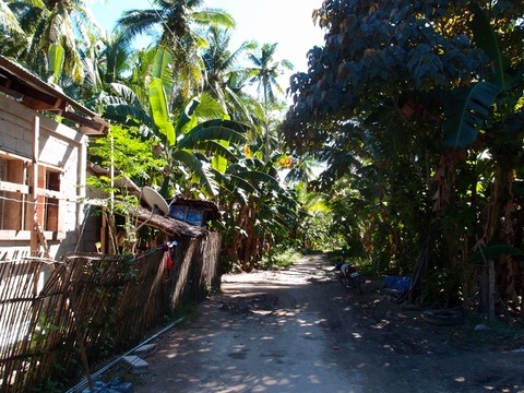 P1014719 (640x480)