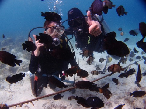 PA237532 (640x480)