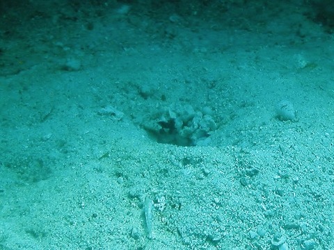 P1010022 (640x480)