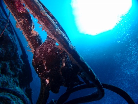 P9106108 (640x480)