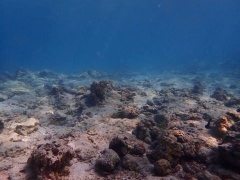 P1300178
