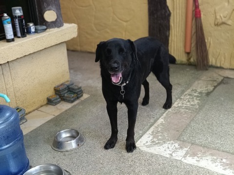 IMG20250422143038