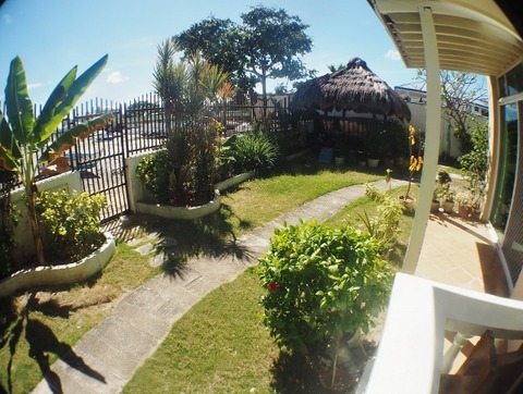 P1010031 (640x483)