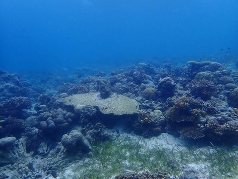 P3070023