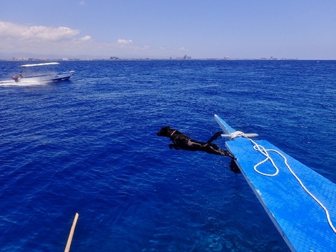 P3250069 (640x480)