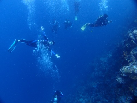 P3152140 (640x480)