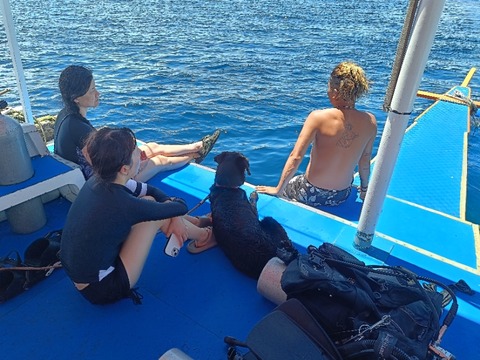 IMG20260520124244