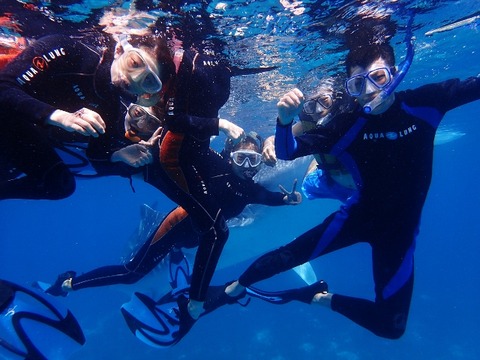 P8270319 (640x480)