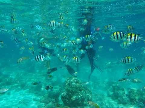 P7220026 (640x480)
