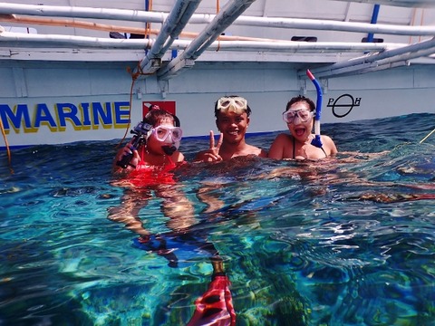 PA130045 (640x480)