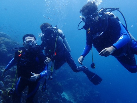 P1310034 (640x480)