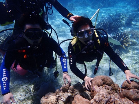 P5030375 (640x480)