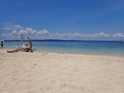 P7030024 (640x480)