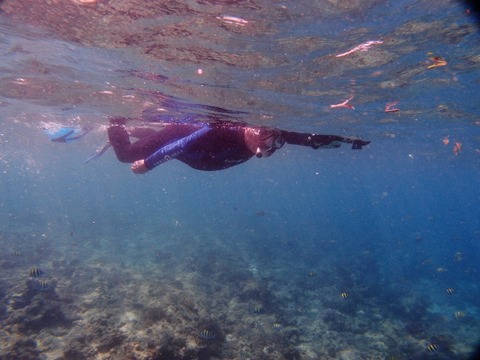 P1014388 (640x480)