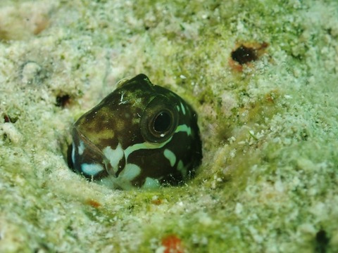 PB030174 (640x480)