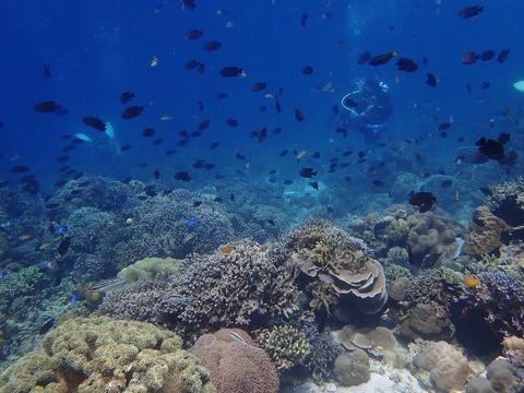 P2230542 (640x480)