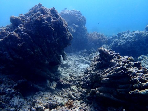 P1300239