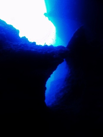 PA082702 (480x640)