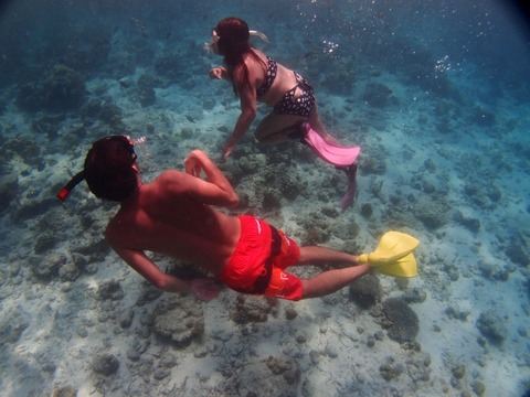 PA253393 (640x480)