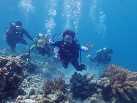 P8230003 (640x480)