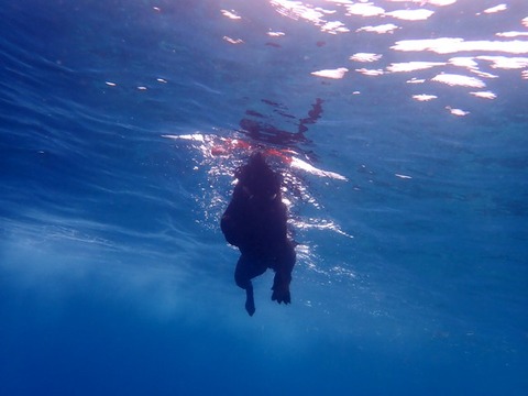 P4280053