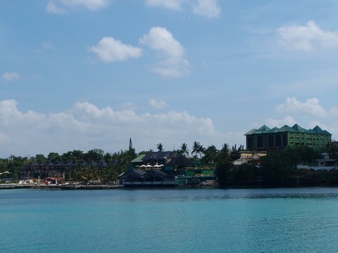 P3133615 (640x480)