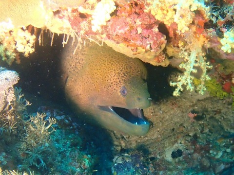 Messenger_creation_B0D54B10-BF22-41F6-BEC4-1C583AA0EB1A