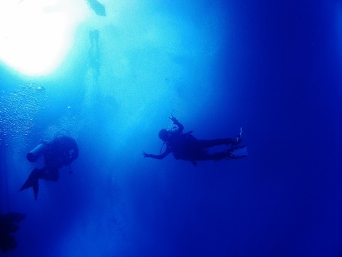 P1022061 (640x480)