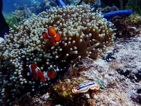 P3220062 (640x480)