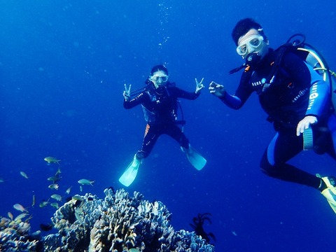 P8120040 (640x480)