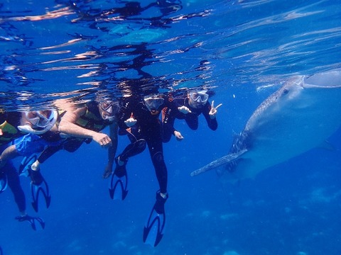 P8270280 (640x480)