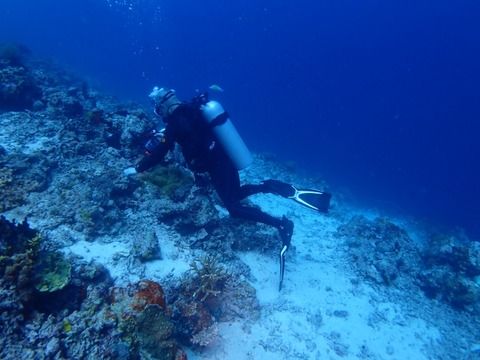 P5190049