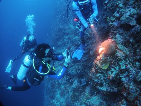 P1020433 (640x480)