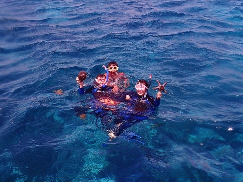 P8130005 (640x480)