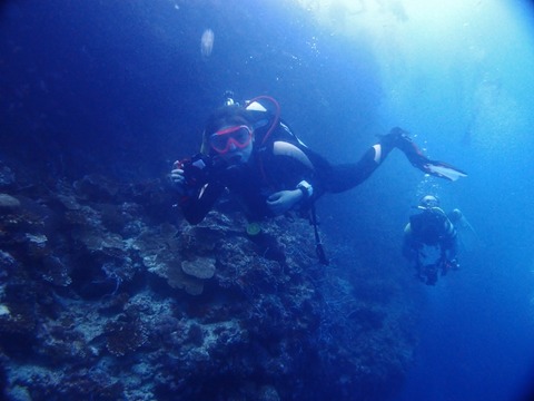 P5040729 (640x480)