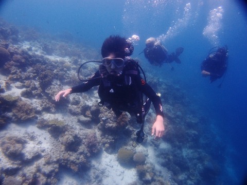 P8223062 (640x480)