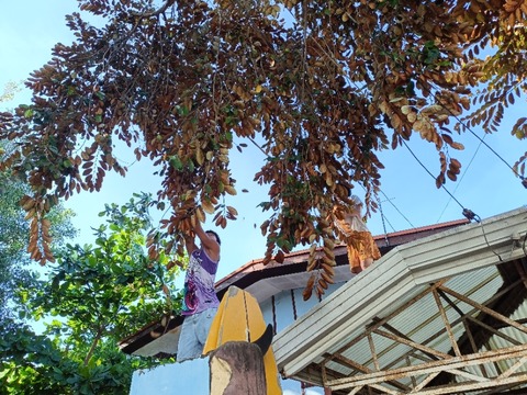 IMG20250415162641