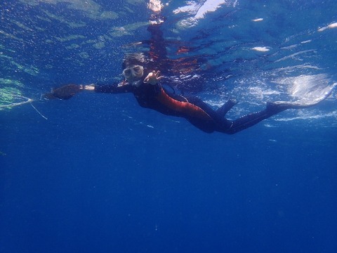 P4280260 (640x480)
