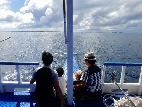 P1260004 (640x480)