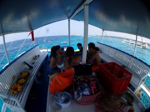 PA253302 (640x480)