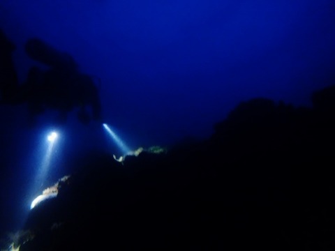 20180609_180610_0038 (640x480)