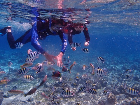 P9103234 (640x480)