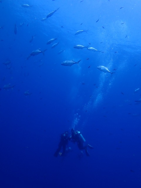 P5200109