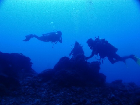 P1012432 (640x480)